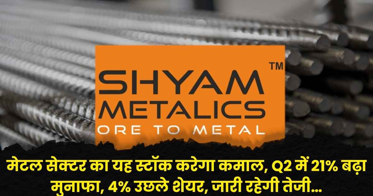 Shyam Metalics Q2 Results